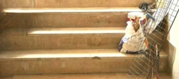 5-salle Maison à Santeramo in Colle, Italy No. 33374 8