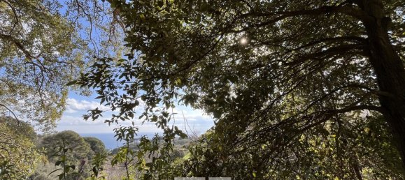 Terrain à Bastia, France 3500m² No. 91364 2