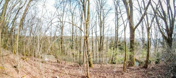 Terreno en Pirmasens, Germany No. 24327 9