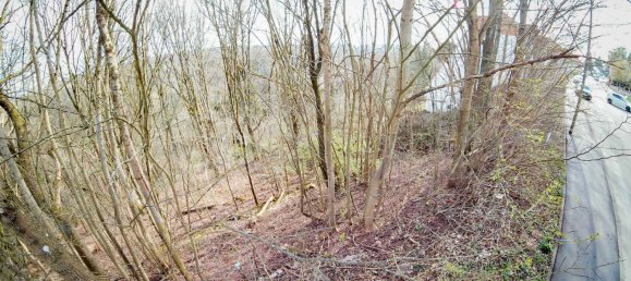 Terreno en Pirmasens, Germany No. 24327 6