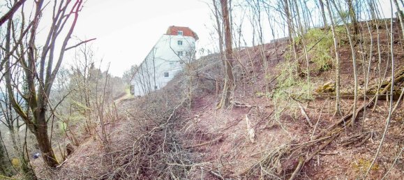 Terreno en Pirmasens, Germany No. 24327 8