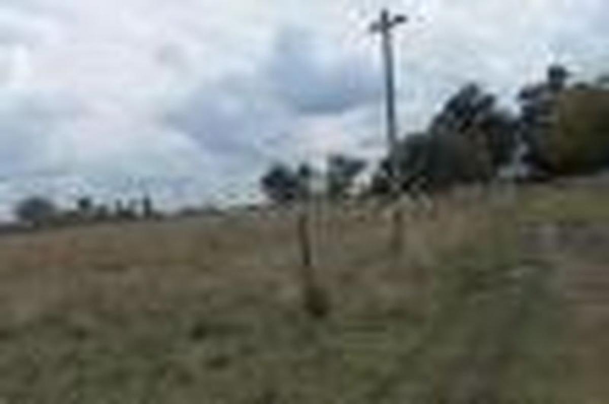 Terrain à Canuelas, Argentina No. 36914