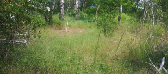 Grundstück in Nordsachsen, Germany, Nr. 346438 2