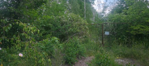 Grundstück in Nordsachsen, Germany, Nr. 346438 5