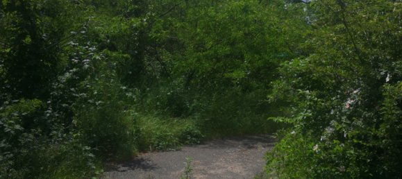 Grundstück in Nordsachsen, Germany, Nr. 346438 4