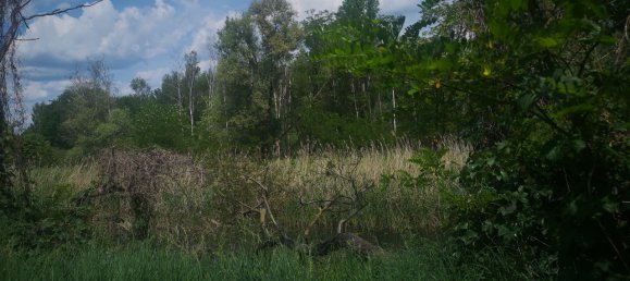 Grundstück in Nordsachsen, Germany, Nr. 346438 3