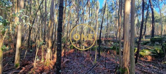 Grundstück in Santo Tirso, Portugal 7000m², Nr. 51529 4