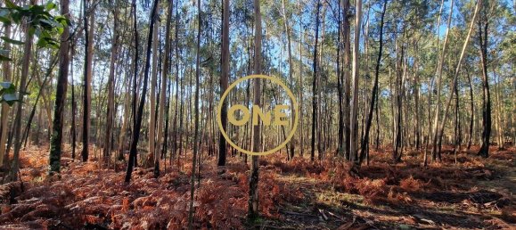 Grundstück in Santo Tirso, Portugal 7000m², Nr. 51529 7