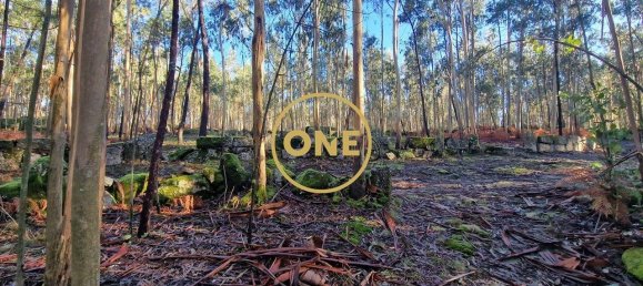 Grundstück in Santo Tirso, Portugal 7000m², Nr. 51529 3