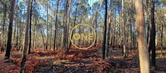 Grundstück in Santo Tirso, Portugal 7000m², Nr. 51529 6