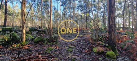 Grundstück in Santo Tirso, Portugal 7000m², Nr. 51529 2