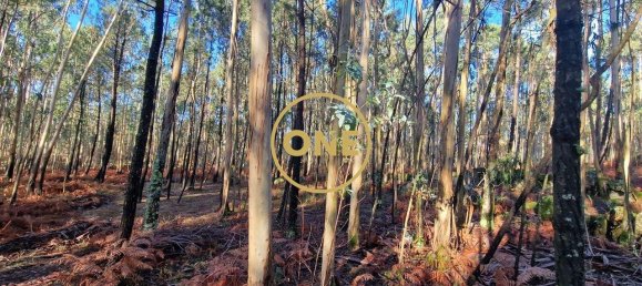 Grundstück in Santo Tirso, Portugal 7000m², Nr. 51529 5