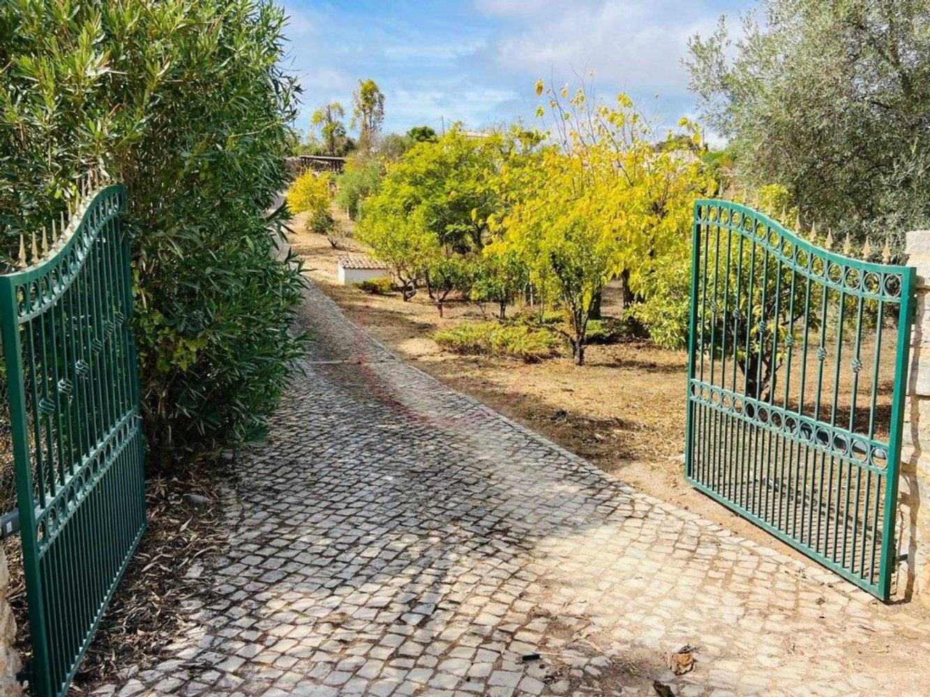 4 غرف نوم منزل في Loule, Portugal رقم 136308