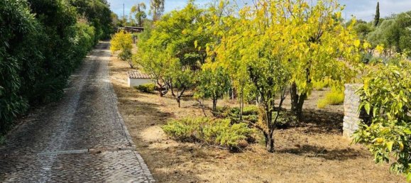 4 غرف نوم منزل في Loule, Portugal رقم 136308 2