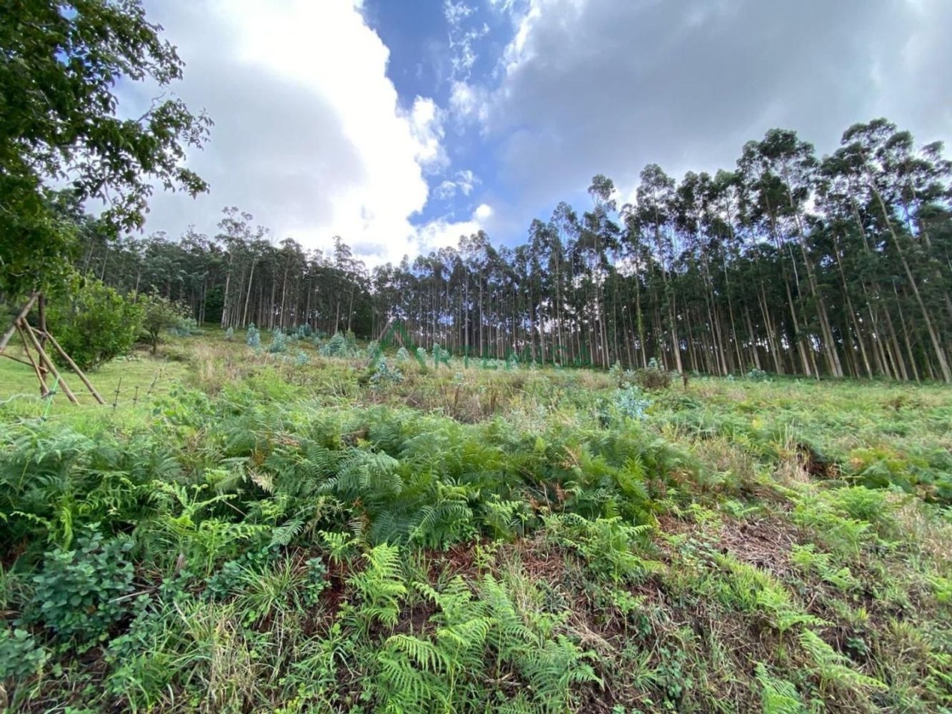 Grundstück in A Coruna, Spain, Nr. 218835