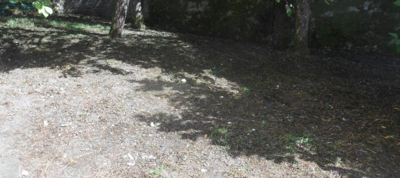 4 rooms Apartment in Ottone, Italy No. 268699 29