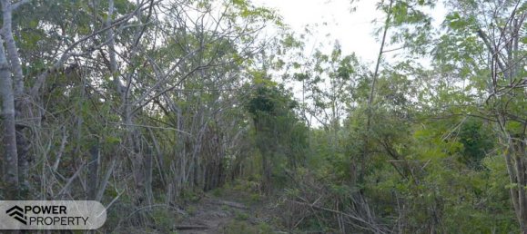  قطعة أرض في Nusa Dua, Indonesia 1700متر مربع رقم 4479 20