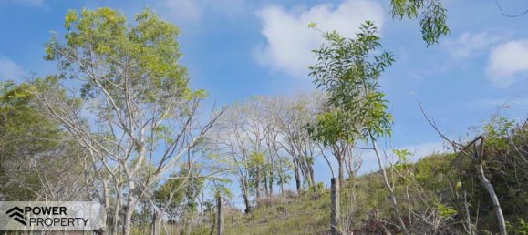  قطعة أرض في Nusa Dua, Indonesia 1700متر مربع رقم 4479 25