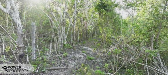  قطعة أرض في Nusa Dua, Indonesia 1700متر مربع رقم 4479 8