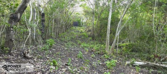  قطعة أرض في Nusa Dua, Indonesia 1700متر مربع رقم 4479 7