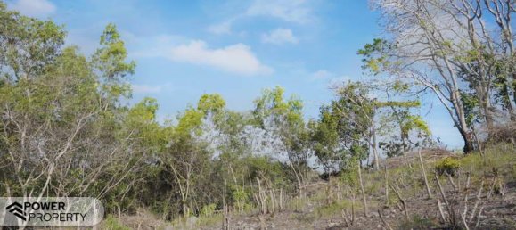  قطعة أرض في Nusa Dua, Indonesia 1700متر مربع رقم 4479 11