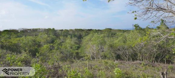  قطعة أرض في Nusa Dua, Indonesia 1700متر مربع رقم 4479 18