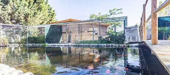 5 bedrooms House in Alpiarca, Portugal No. 186146 48