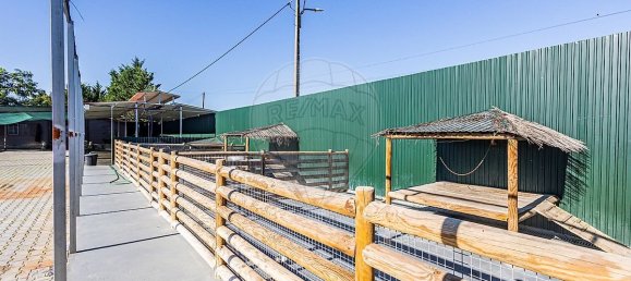 5 bedrooms House in Alpiarca, Portugal No. 186146 49