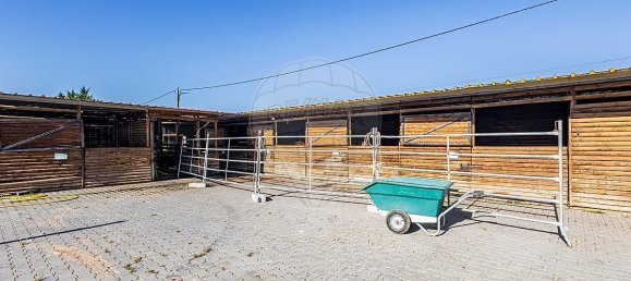 5 bedrooms House in Alpiarca, Portugal No. 186146 50