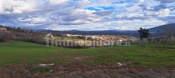 1-Zimmer Grundstück in Colle d'Anchise, Italy, Nr. 114386 8