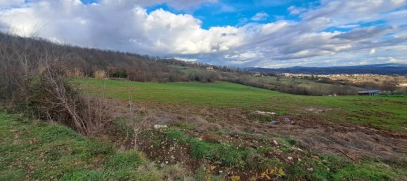 1-Zimmer Grundstück in Colle d'Anchise, Italy, Nr. 114386 11