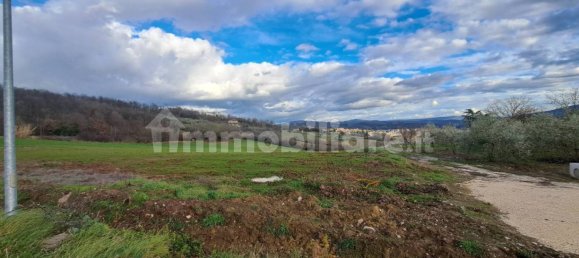 1-Zimmer Grundstück in Colle d'Anchise, Italy, Nr. 114386 5