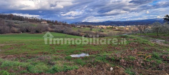 1-Zimmer Grundstück in Colle d'Anchise, Italy, Nr. 114386 2