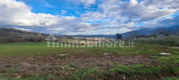 1-Zimmer Grundstück in Colle d'Anchise, Italy, Nr. 114386 7