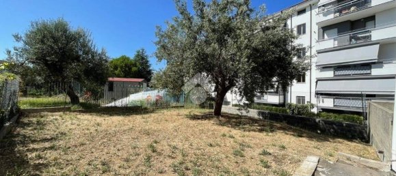 1 bedroom Apartment in Vasto, Italy No. 260831 15