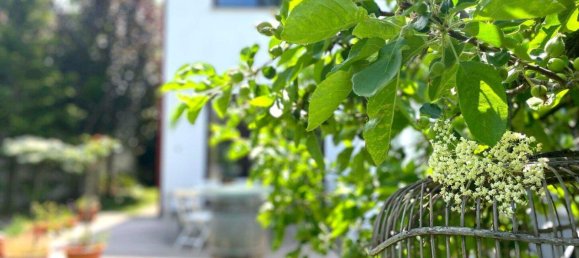 5غرفة تاون هاوس في Baden, Austria رقم 132663 14