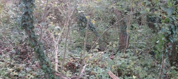 1505m² Land in Saint-Felix, France No. 304057 3