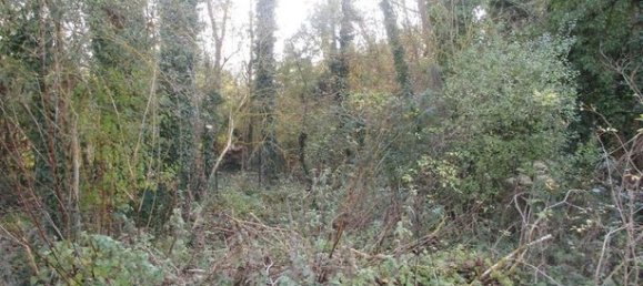 1505m² Land in Saint-Felix, France No. 304057 5