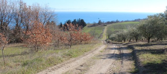 3900m² Hotel in Kolindros, Greece No. 3724 2