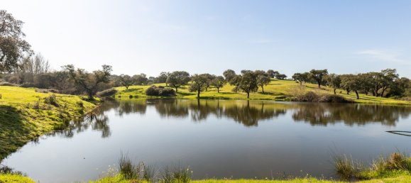 8 غرف نوم قلاع في Avis, Portugal رقم 135399 15