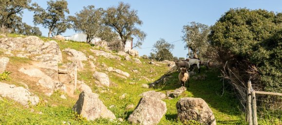 8 غرف نوم قلاع في Avis, Portugal رقم 135399 14