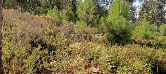 2250m² Land in Tondela, Portugal No. 88046 6