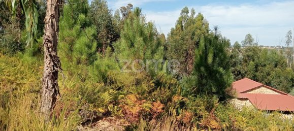 2250m² Land in Tondela, Portugal No. 88046 5