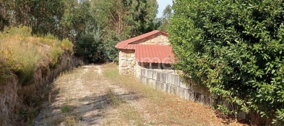 2250m² Land in Tondela, Portugal No. 88046 3