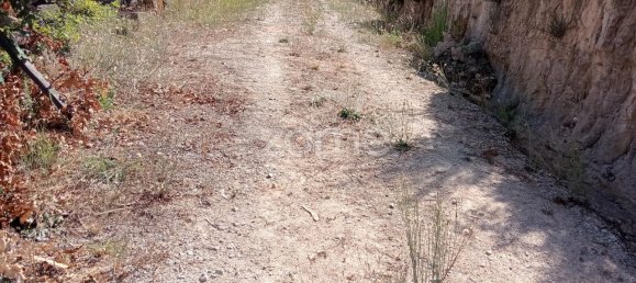 2250m² Land in Tondela, Portugal No. 88046 8