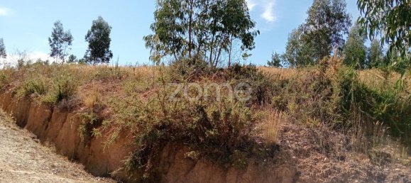 2250m² Land in Tondela, Portugal No. 88046 10