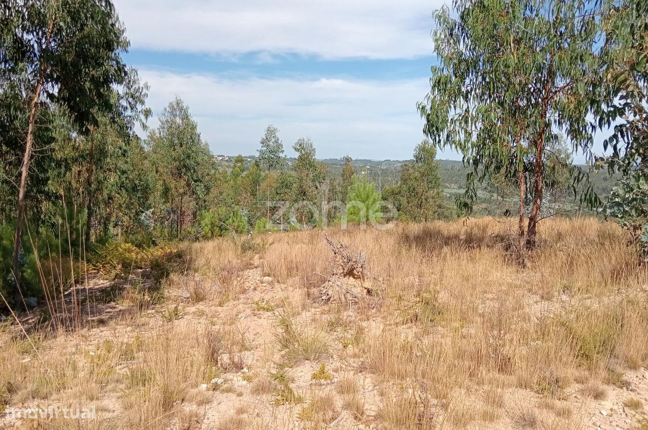 2250m² Land in Tondela, Portugal No. 88046