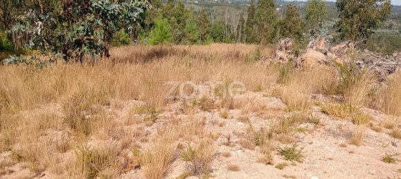 2250m² Land in Tondela, Portugal No. 88046 15