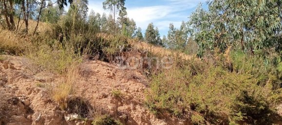 2250m² Land in Tondela, Portugal No. 88046 11