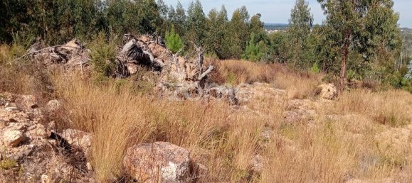 2250m² Land in Tondela, Portugal No. 88046 2